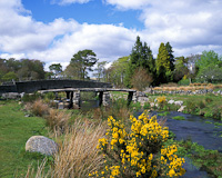Postbridge, Dartmoor, Devon, England.