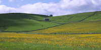 Yorkshire Dales, Nr. Malham, England.
