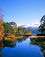 Glen More Forest Park, Nr. Aviemore, Highlands, Scotland.