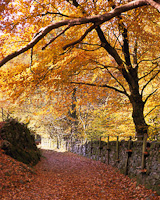 Grasmere, Cumbria, England.