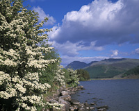 Ennerdale Water, West Cumbria, England.