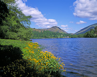 Grasmere, Cumbria, England.