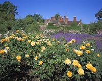 Borde Hill Gardens, West Sussex, England.