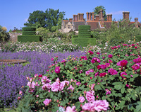 Borde Hill Gardens, West Sussex, England.
