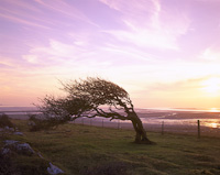 Humphrey Head & Morecambe Bay, Nr. Grange, Cumbria, England.