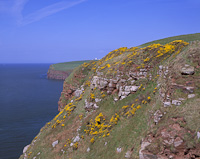 St. Bees Cliffs, Cumbria, England.