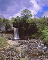 Thornton Force, Nr Ingleton, North Yorkshire, England.