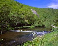 Dovedale, Derbys/Staffs, England.