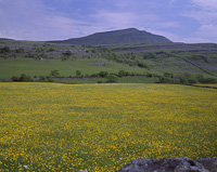 Ingleborough, Yorkshire Dales National Park, England.