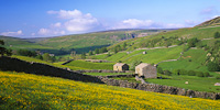 Angram, Swaledale, Yorkshire Dales, England.