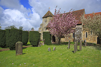 Westfield, Nr Hastings, Sussex, England.