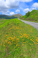 Road to Glenmore, Mull, Argyll & Bute, Scotland.