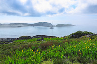 Arinagour, Coll, Inner Hebrides, Argyll & Bute, Scotland.