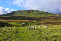 Pen-y-Ghent, Yorkshire Dales, England.