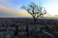 Twistleton Scar, Nr. Ingleton, Yorkshire, England.