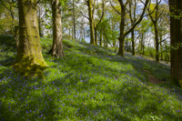 Troutbeck, Nr. Windermere, Cumbria, England.