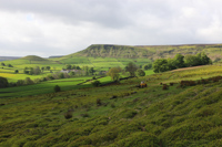 Little Fryup, North Yorkshire Moors, England.
