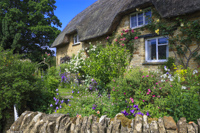 Church Enstone, Cotswolds, Oxfordshire, England.
