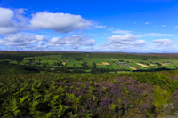 Danby Dale from Danby Rigg, North Yorkshire Moors, England.