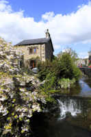 Waddington, Ribble Valley, Lancashire, England.