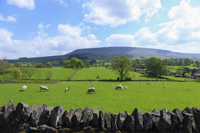 Pendle Hill from Downham, Ribble Valley, Lancashire, England.