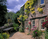 Wishanger, Nr Stroud, Cotswolds, Gloucestershire, England.