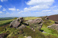 Newstone, Peak District, Staffordshire, England.