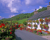 Brigsteer, Nr. Kendal, Cumbria, England.