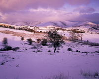 Howgill Fells, Cumbria, England.