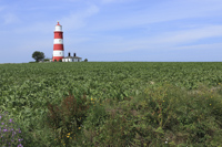 Happisburgh Lighthouse, Norfolk, England.