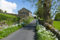 Skelghyll Lane, Troutbeck, Windermere, Cumbria, England.