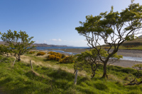 Loch Brittle, Skye, Hebrides, Scotland.
