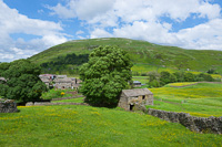 Thwaite & Kisdon, Swaledale, Yorkshire, England.