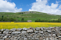 Swaledale, Yorkshire, England.