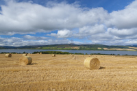 Cromarty Firth, Highland, Scotland.