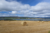 Cromarty Firth, Highland, Scotland.