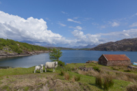 Loch Torridon from Kenmore, Ross & Cromarty, Highland, Scotland.