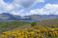 Loch Torridon, Beinn Alligin, Beinn Dearg & Liathach, Ross & Cromarty, Highland, Scotland.