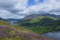 Buttermere, Crummock Water & Grasmoor from Red Pike, Cumbria, England.