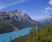 Peyto Lake, Banff Park, Alberta, Canada.
