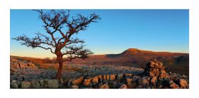 Yorkshire Dales greeting card - Ingleborough - blank for your own message