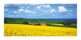 Yorkshire greeting card - Yorkshire Farm - left blank for your own message