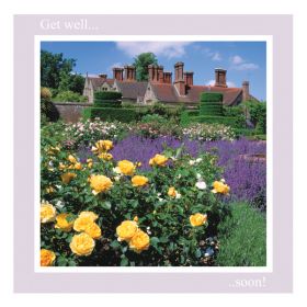 Get Well Soon Card - Roses and Lavender - left blank for your own image