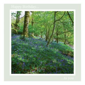 Birthday Card - Bluebells - message inside reads: best wishes on your birthday